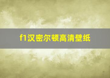 f1汉密尔顿高清壁纸