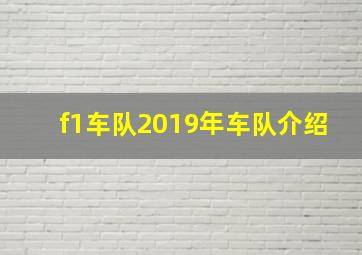 f1车队2019年车队介绍