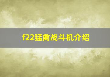 f22猛禽战斗机介绍