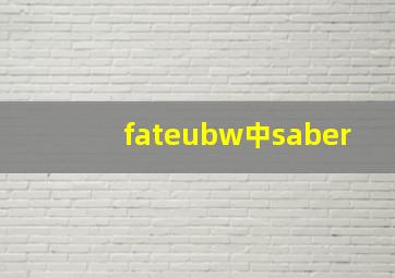 fateubw中saber