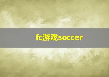 fc游戏soccer