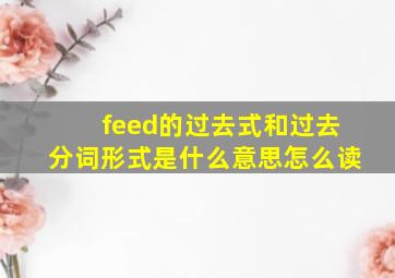 feed的过去式和过去分词形式是什么意思怎么读