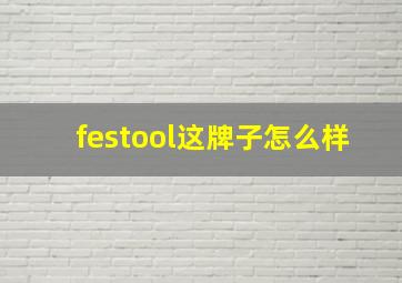 festool这牌子怎么样