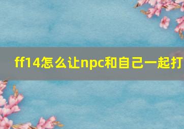 ff14怎么让npc和自己一起打