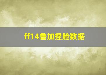 ff14鲁加捏脸数据