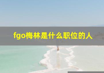 fgo梅林是什么职位的人