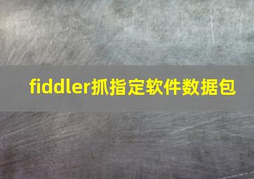 fiddler抓指定软件数据包