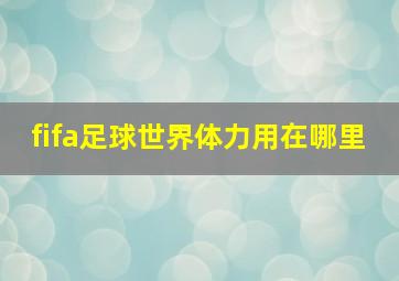 fifa足球世界体力用在哪里