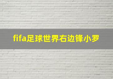 fifa足球世界右边锋小罗