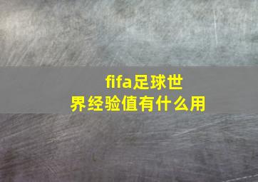 fifa足球世界经验值有什么用