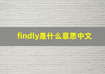 findly是什么意思中文