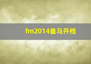 fm2014皇马开档