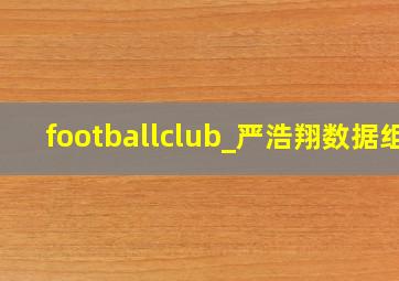 footballclub_严浩翔数据组