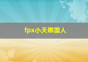 fpx小天哪国人