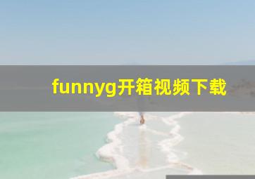 funnyg开箱视频下载