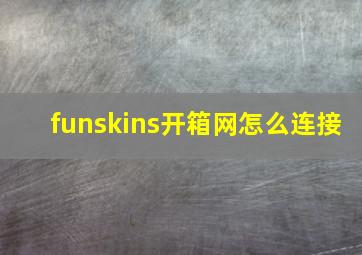 funskins开箱网怎么连接