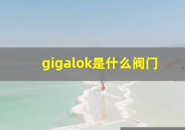 gigalok是什么阀门