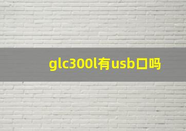 glc300l有usb口吗