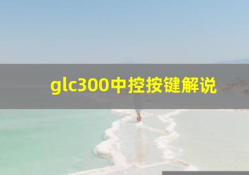 glc300中控按键解说