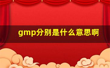 gmp分别是什么意思啊