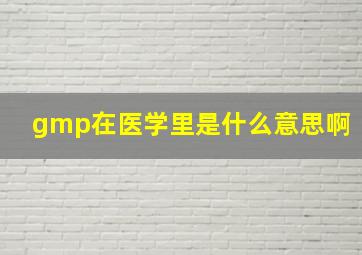 gmp在医学里是什么意思啊