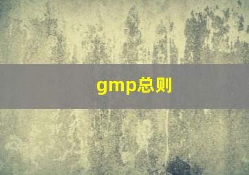 gmp总则