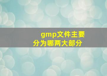 gmp文件主要分为哪两大部分