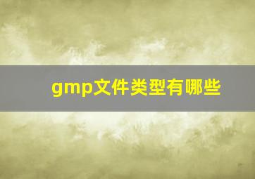 gmp文件类型有哪些