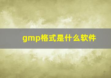 gmp格式是什么软件