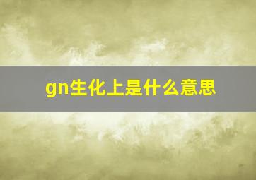 gn生化上是什么意思