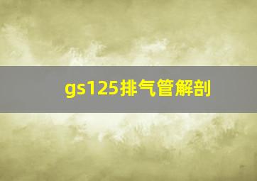 gs125排气管解剖