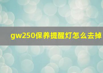 gw250保养提醒灯怎么去掉