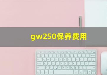 gw250保养费用