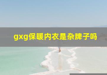 gxg保暖内衣是杂牌子吗