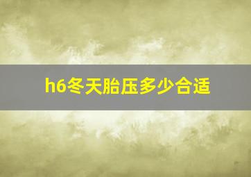 h6冬天胎压多少合适