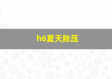 h6夏天胎压