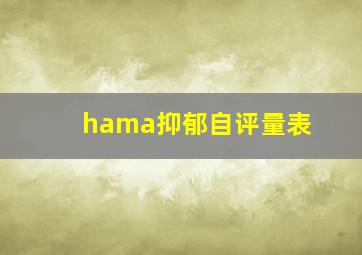 hama抑郁自评量表