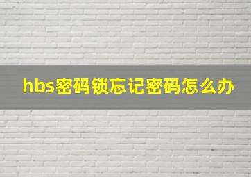 hbs密码锁忘记密码怎么办