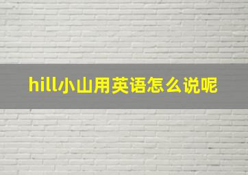 hill小山用英语怎么说呢