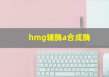 hmg辅酶a合成酶