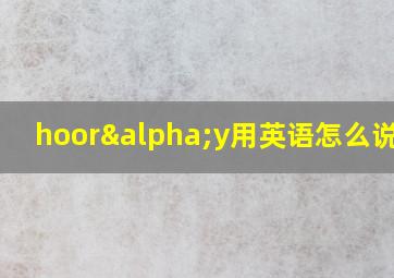 hoorαy用英语怎么说fdr