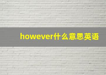 however什么意思英语