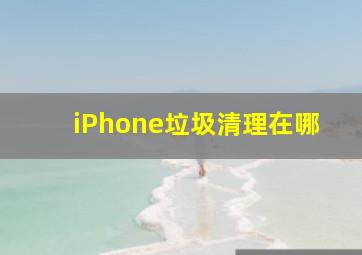 iPhone垃圾清理在哪