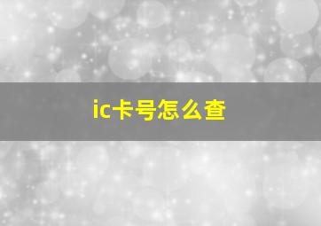 ic卡号怎么查