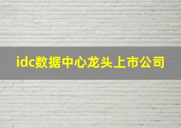 idc数据中心龙头上市公司