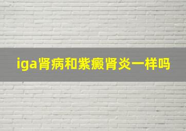 iga肾病和紫癜肾炎一样吗