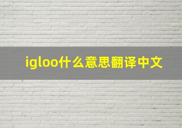 igloo什么意思翻译中文