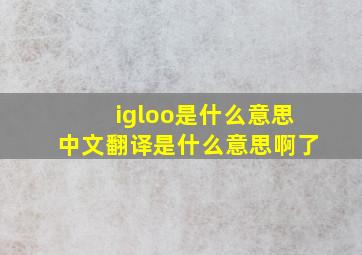 igloo是什么意思中文翻译是什么意思啊了