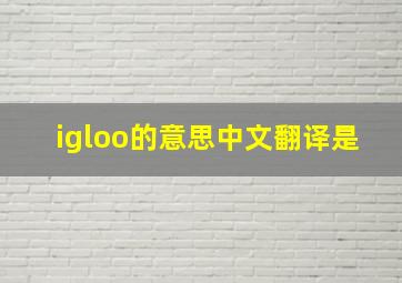 igloo的意思中文翻译是