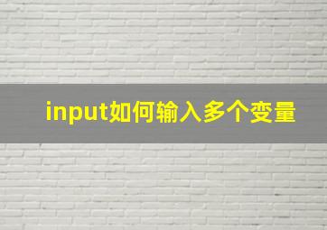 input如何输入多个变量